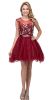 Floral Embroidery Mesh Top Short Tulle Homecoming Dress in Burgundy